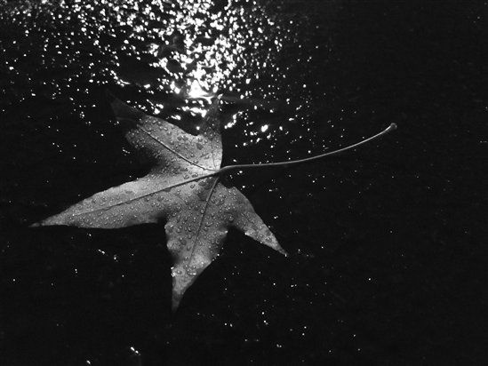 M01-手机组-落木更兼细雨-韩玺