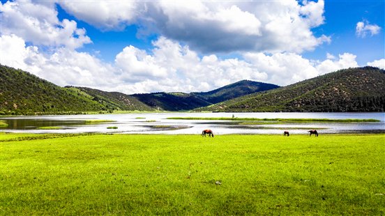 M37-香巴拉之光-杨冠卿