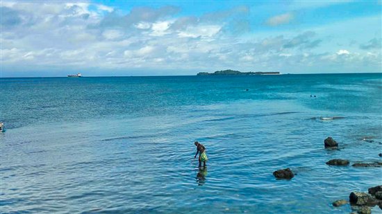 M40-拾荒老人-杜文娜