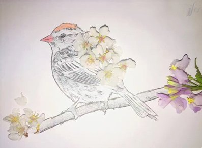 C:UsersADMINI~1AppDataLocalTempWeChat Files.0993501706846450.jpg