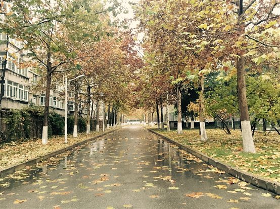 C:UsersysDesktop摄影大赛手机于海洋 手机 13621397309  拍摄型号 iphone6s秋雨.JPG