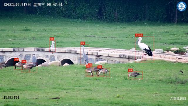 https://pics1.baidu.com/feed/a71ea8d3fd1f4134ffb6496f895eb2c1d0c85eee.jpeg@f_auto?token=7aad56ef2a352206bb076efa2fafc1b4