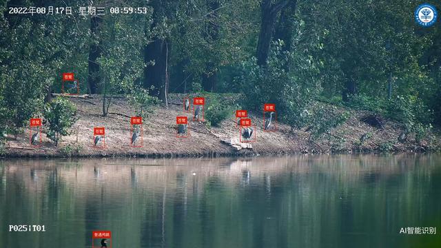 https://pics5.baidu.com/feed/024f78f0f736afc38f6c3dda1758cccfb64512fd.jpeg@f_auto?token=5bfedb975fea922554e7630c69398656