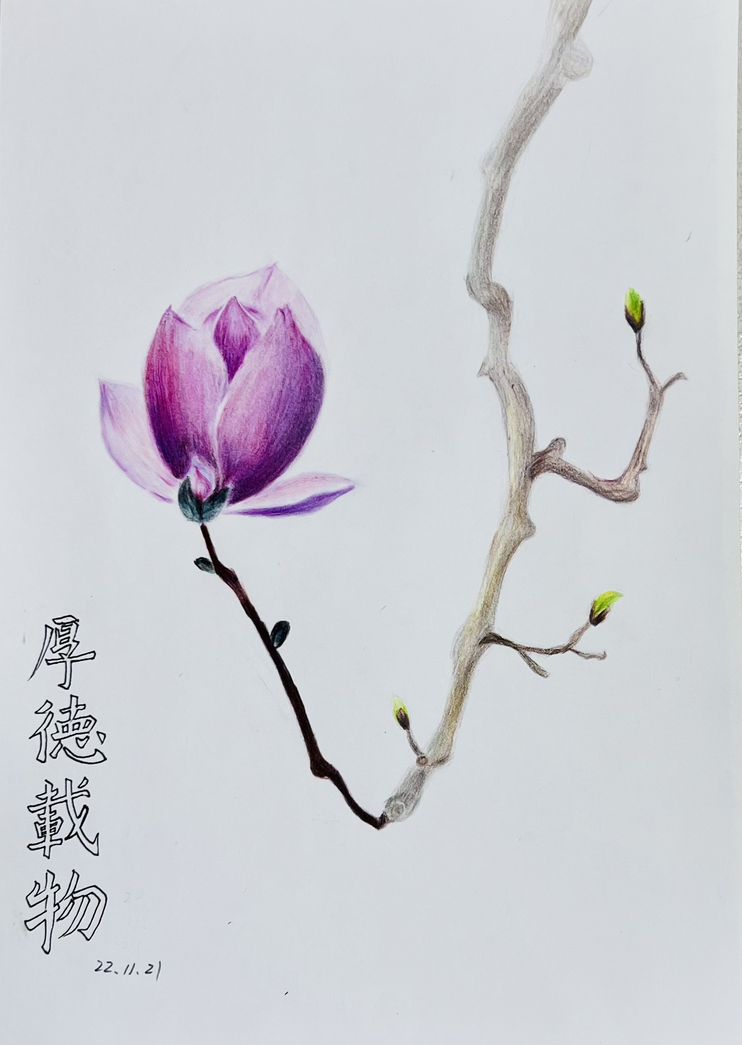 20.《玉兰》-张建军（机关一）.jpg