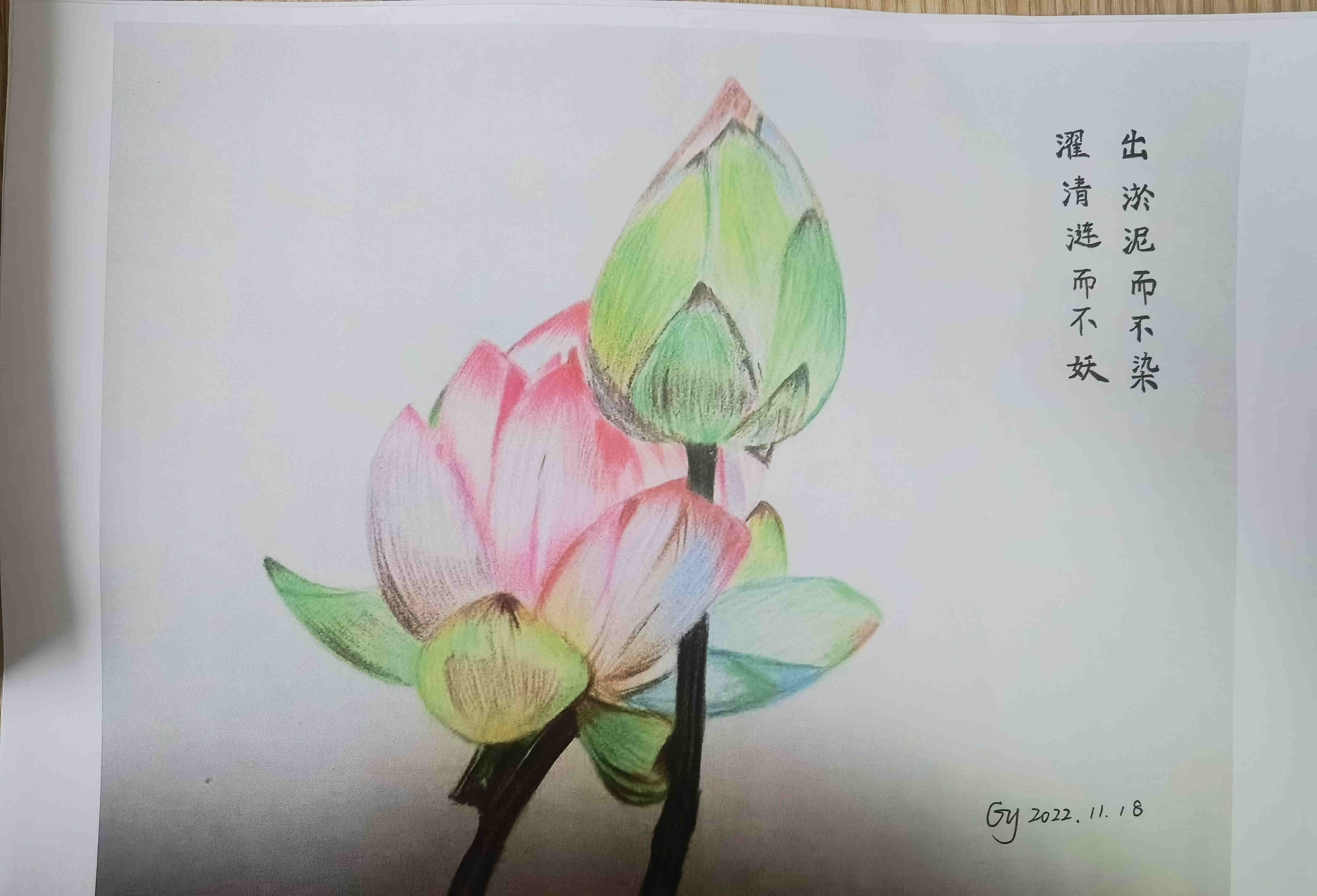 22.0《莲》-高艳（机关一）_副本.jpg