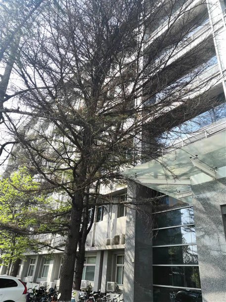 微信图片_202204131508111