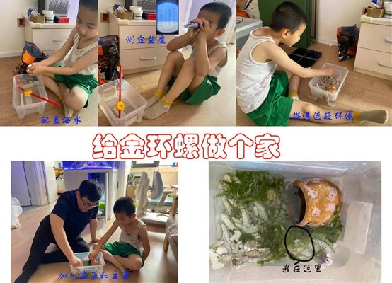 C:UsersAdministratorDesktop妇委会小组提交材料照明中心小小科学家活动-照明中心照明中心-霍自强-霍秋实-我给金环螺做个家.jpg